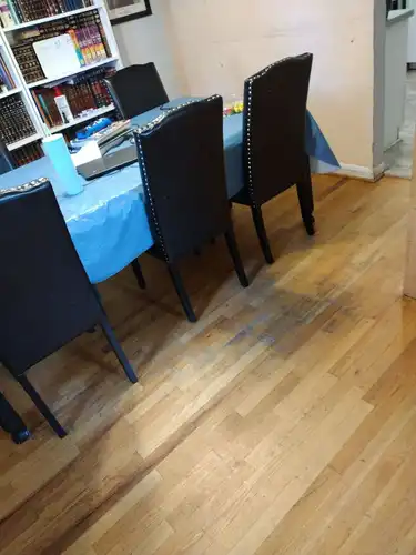 House Cleaning Services (10)