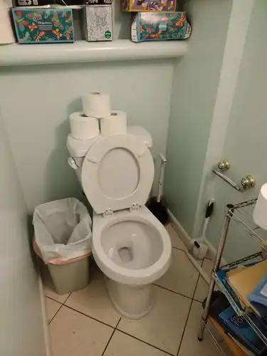 House Cleaning Services (20)