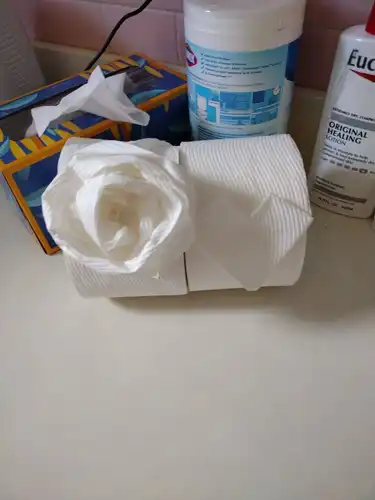 House Cleaning Services (25)