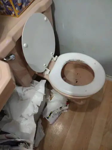 House Cleaning Services (26)