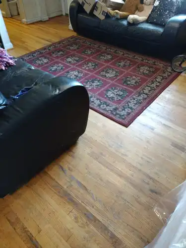 House Cleaning Services (6)